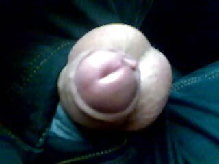 Էլիսոն Թայլեր ցնցուղներ