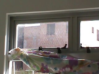 Գրազ եկեք, որ դուք չեք կարող դիպչել նրա կրծքերին: